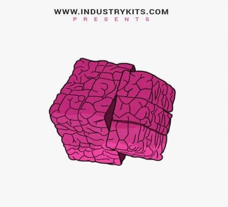 Industry Kits Mind Games (Stem Pack) WAV MiDi